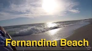 If you are using your detector in rocky areas you might want to use a coil cover. Metal Detecting Fernandina Beach Treasurepro Live Digs Things To Do In Florida Youtube
