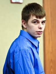 Teen pleads guilty to beating, robbing elderly woman