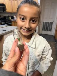 Will a cut apple tree trunk grow into a new tree?