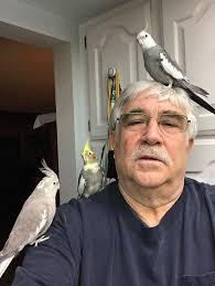 F Rick 2017 12 7 birds at home IMG_0281