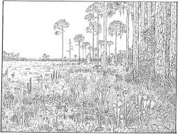 Free africa map coloring page this free travel coloring page can be used two ways. Hard Jungle Coloring Page Free Printable Coloring Pages For Kids