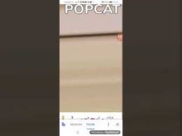 Did you mean thoses words that you said? Popcat Uje Popcat Click Pop Cat Know Your Meme