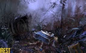 10 The Forest Hd Wallpapers Background Images