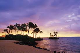 The Inspiring Wallpaper Of The Waialae Beach Honolulu Hawaii Beach Wallpapers Sky Palms Hawaii Oahu Hawaii Beaches Oahu Beaches Sunset Beach Hawaii