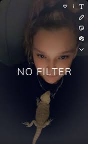 Bearded Dragons in Chilly Florida Weather