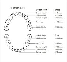 perio periodontal forms index of perio bulan attach dengan