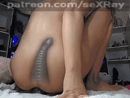 Xray Porn Pic, Gifs and Videos | PicToCum