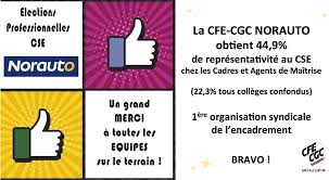 Ils sont donnés à titre indicatif. Cfe Cgc Norauto La Cfe Cgc Norauto Est La 1ere Organisation Syndicale De L Encadrement Cadres Et Agents De Maitrise De Norauto Elle A Obtenu 45 Des Suffrages De L Encadrement Et 22 3 Tous Colleges