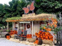 Flamingo road nursery in davie has what you need! Garden Nursery Flamingo Road Nursery Davie Fl Flamingo Road Nursery
