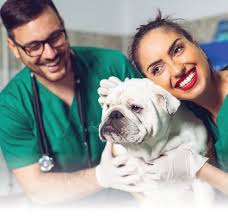 Discover your passion through learning!