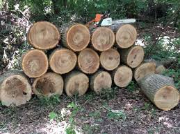 Red oak will burn clean with embers and generate low smoke that has a pleasant smell. Cleaned Up A Little More Red Oak Firewood Hoarders Club