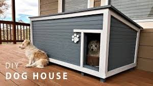 Check spelling or type a new query. Diy Insulated Dog House Build Youtube