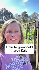 Check out how to grow kale in this raised vegetable bed garden! Super easy  and pretty cold tolerant too! #raisedgarden #raisedgardenbed #fallgarden  #gardentips #kale