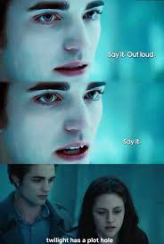 Plot Holes in the Twilight Series