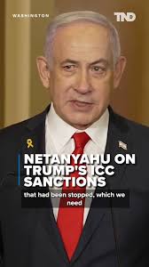 Israeli Prime Minister Benjamin Netanyahu praised President Trump for his  latest executive order. The order imposed economic and travel sanctions  against International Criminal Court personnel ...