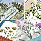 Stamping Class w/Sally event in Canandaigua, NY