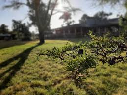 Proposed houses for a new housing estate by kedong ranch in naivasha. Kedong Ranch House Bewertungen Fotos Naivasha Kenia Tripadvisor