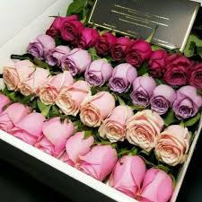 Apr 22, 2021 · there are beautiful parts of the city, but a lot of it is disjointed. Roses Beauty Flowers Girl Woman Colors Pink Red Purple Beautiful Spring Love Romantic Luxury Flowers Flower Gift Flower Boxes