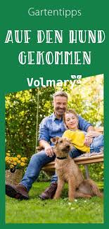 Ein Hundefreundlicher Garten 8 Tipps Plant Happy Hundefreundlicher Garten Hunde Hunde Teich