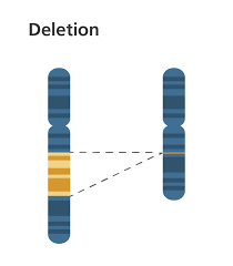 What Is A Chromosome Disorder Chromosomal Disorders