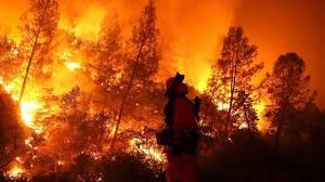61 863 tykkäystä · 1 497 puhuu tästä. Ha Um Incendio Com Um Quarto Do Tamanho Do Algarve A Lavrar Na California Observador