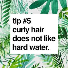 It gently eliminates toxins and impurities from your hair and removes the damaging mineral build up. Tip 5 The Curly Hair Doesn T Like Hard Water Miss Curly