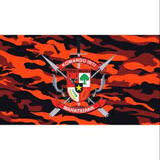 Background loreng pemuda pancasila wallpaper : Background Pemuda Pancasila