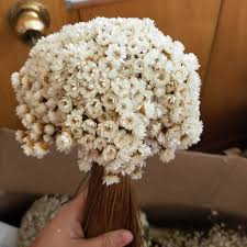 See more ideas about wedding bouquets, small wedding bouquets, lavender bouquet. 30pcs Decoraitve Dried Flower Mini Daisy Star Flower Bouquet Natural Plants Small Floral For Wedding Diy Home Decoration Artificial Dried Flowers Aliexpress