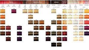 Hair Color Chart Color Wheel Art Schwarzkopf Color Chart