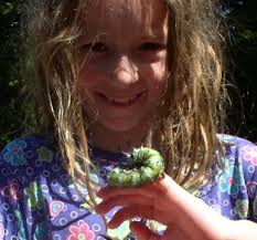 Rock Lodge Trust Survey/Field Trip Announcement