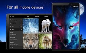 Select your favorite images and download them for use as wallpaper for your desktop or phone. Download Wolf Wallpapers 4k On Pc Mac With Appkiwi Apk Downloader