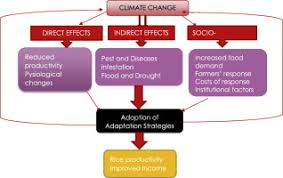 Aug 02, 2021 · according to the 2014 report on climate change impacts, adaptation and vulnerability (page 8) from the united nations intergovernmental panel on climate change, governments at various levels are also getting better at adaptation. Impact Of Climate Change Adaptation Strategies On Rice Productivity In South West Nigeria An Endogeneity Corrected Stochastic Frontier Model Sciencedirect