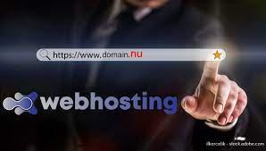 It was one of the first cctlds to be marketed to the internet at large as an alternative to the gtlds.com,.net, and.org. Nu Domain Name Registration Provider Comparison