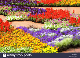 10 best places to visit in oregon. Festival Of Flowers Pioneer Courthouse Square Portland Oregon Stock Photo Alamy