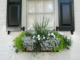 Check spelling or type a new query. Beautiful Diy Window Box Ideas With Curb Appeal The Cottage Market