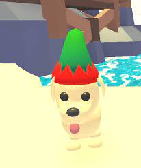 We did not find results for: Elf Hat Adopt Me Wiki Fandom
