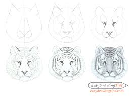 How To Draw A Tiger Face Head Step By Step Easydrawingtips Learn how to draw simple tiger face pictures using these outlines or print just for coloring. how to draw a tiger face head step by
