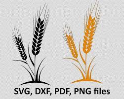 Wheat Svg Wheat Harvest Svg Wheat Clipart Wheat Svg File Etsy In 2021 Svg Clip Art Picture Templates