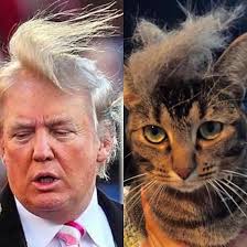 Pin On Campaign 2016