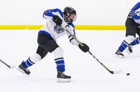 All-Decade Boys Hockey: Dodge County Wildcats