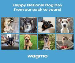 Wagmo offers coverage for all pets and reimburses you for routine care. Wagmo Publicaciones Facebook