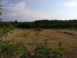 Find the best offers for properties in botosani. Teren De Vanzare Zona Anl Bucovina Price 13 Euro Ella Imobiliare Agentie Imobiliara