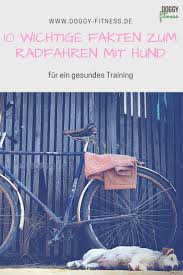 10 Wichtige Fakten Zum Radfahren Mit Hund Das Solltest Du Wissen Hunde Hund Fahrrad Radfahren
