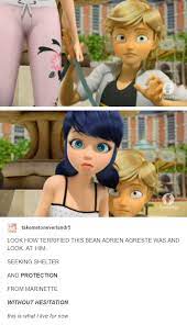 He Was Reaching For Her Flipping Hand I Mean Miraculous Ladybug Anime Miraculous Ladybug Memes Miraculous Ladybug
