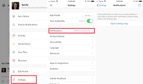 · select the settings tab. How To Customize Slack Notifications On Iphone