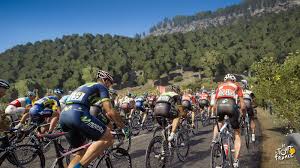 Image result for tour de france 2017 cyclist 