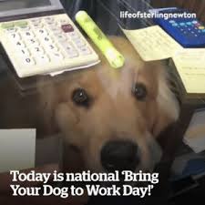 War is brutal, tedious, and generally indescribably horrible, so you can imagine the soldiers of the 11th collectively went omg puppy when the regiment received her as a gift in west chester, pa. 25 Best Bring Your Dog To Work Memes Bring Your Dog To Work Day Memes Bring Memes Https Memes