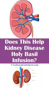 Pin On Kidney Disease Families
