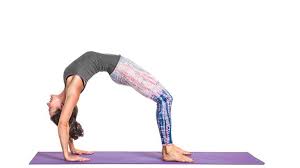 Urdhva Dhanurasana Upward Facing Bow Pose Yoga Gaia
