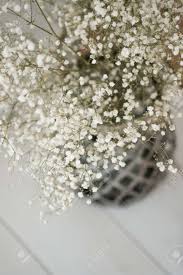 Drying flowers is a great way to preserve them for display in a vase or frame in your home. White Dried Flowers In Vase In A Room In A Modern Scandinavian Stock Photo Picture And Royalty Free Image Image 140628523